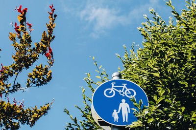 Low angle view of sign against blue sky