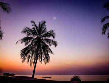 Silhouette palm tree by sea against sky at sunset