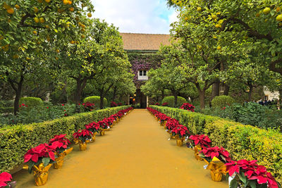 Entrance of the palacio de las duenas