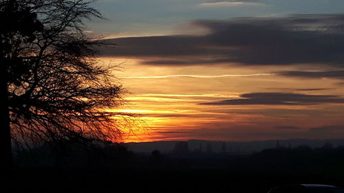 Silhouette trees against sky during sunset