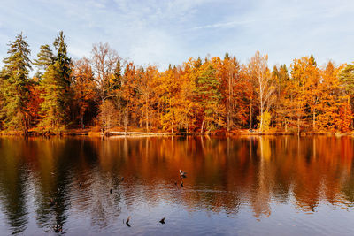 Scenic view of lake in autumn 