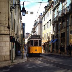 Cars parked on city street