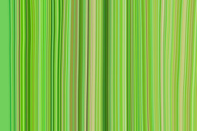 Full frame shot of palm leaf