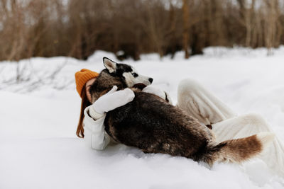 Dog on snow covered field