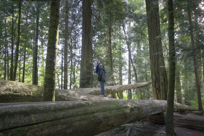 Rear view of man amidst trees in forest