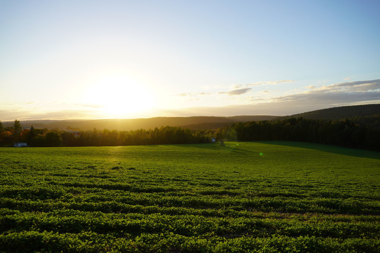 SCENIC VIEW OF LANDSCAPE AGAINST SKY DURING SUNSET