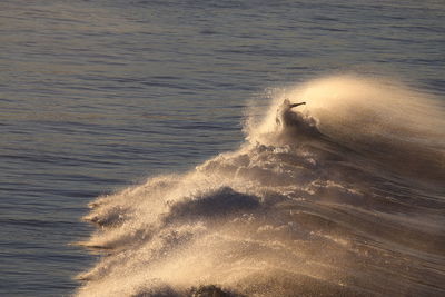 Man on sea wave windsurfing during sunset