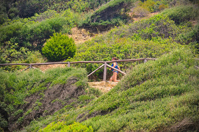 High angle view of wooden structure on farm