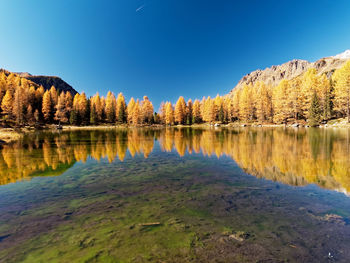 Scenic view of lake against clear blue sky