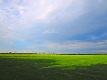 Scenic view of field against sky