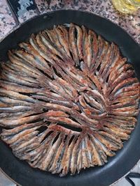 High angle view of dead fish in bowl