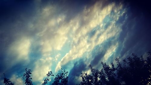 Low angle view of silhouette trees against sky