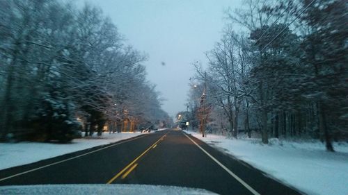 Road passing through bare trees