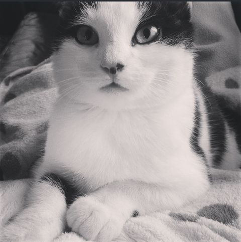Shocked face