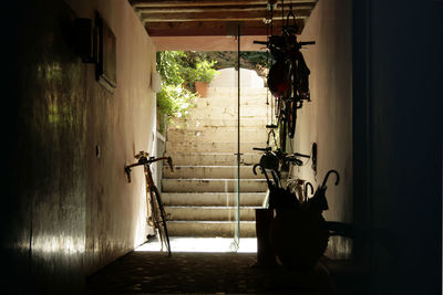 Silhouette potted plants in building