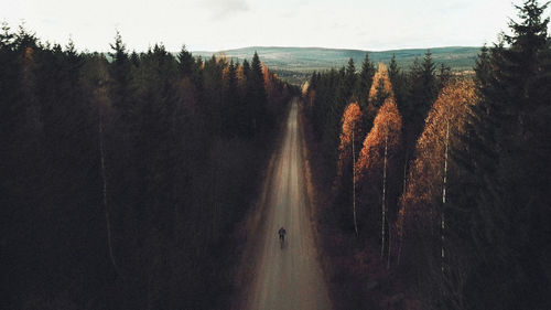 Panoramic view of trees in forest against sky