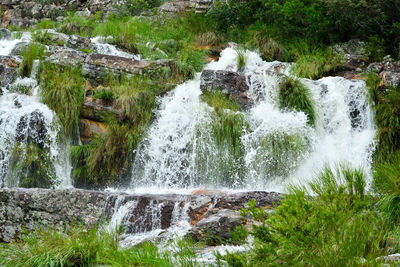 Scenic view of waterfall in forest