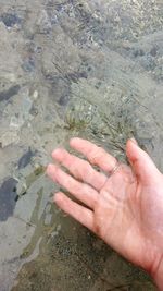 Cropped image of person holding hands
