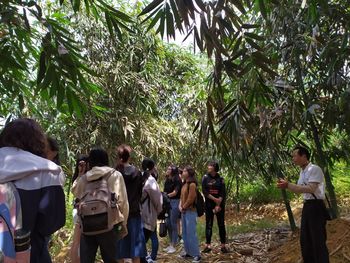 Rear view of people standing in forest