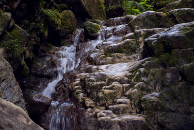 Scenic view of waterfall in forest