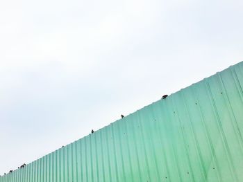 Low angle view of birds against clear sky