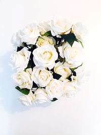 Close-up of flowers over white background