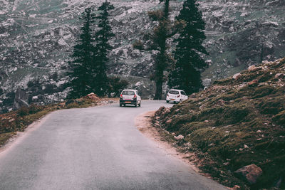 Car moving on road by trees