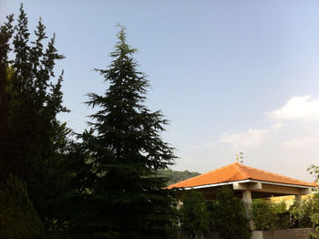 Houses with trees in background