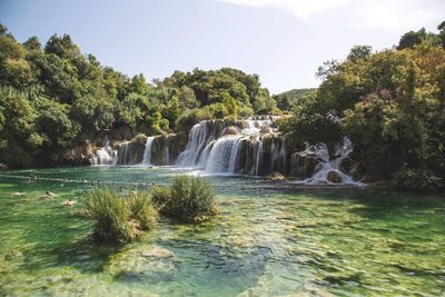 Scenic view of waterfall against trees in forest