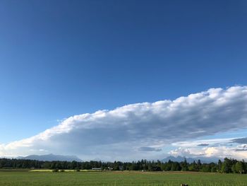 Scenic view of field against blue sky