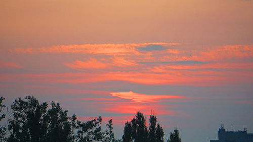 Low angle view of silhouette trees against romantic sky