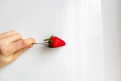 Cropped image of hand holding strawberry against white background