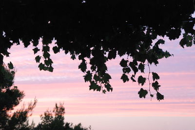 Silhouette trees against sky during sunset