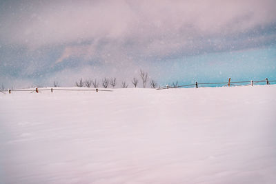 Scenic view of snow covered landscape