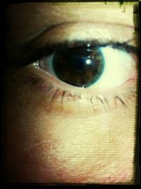 human eye