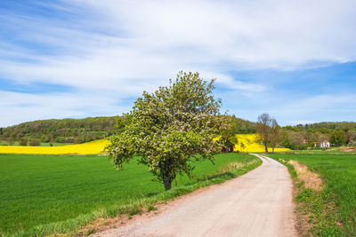 Road amidst plants on field against sky