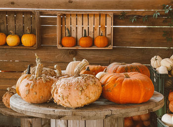 Pumpkins on display at market stall