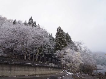 Snow covered road by trees against sky
