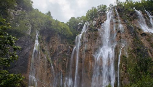 Panoramic view of waterfall in forest