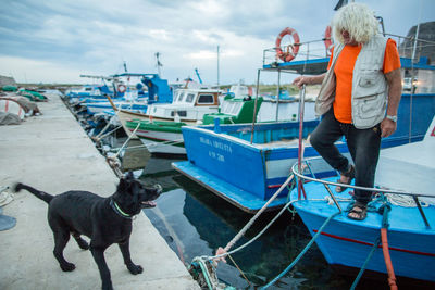 View of a dog in front of harbor