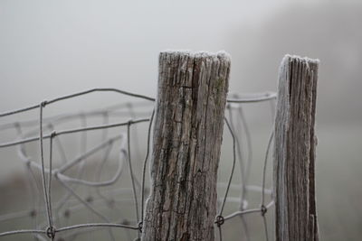 Close-up of frost on fence