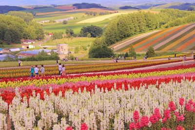 View of rural landscape