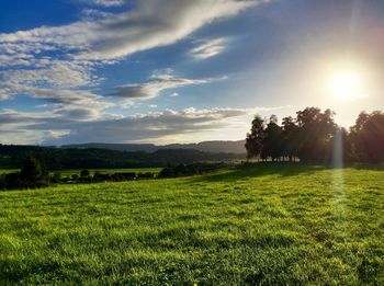 Scenic view of grassy field against sky