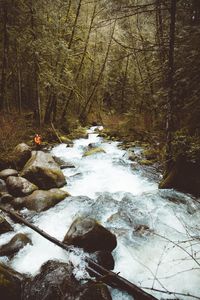 River amidst trees in forest