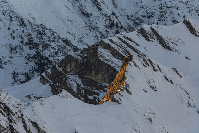 View of lizard on snow covered mountain