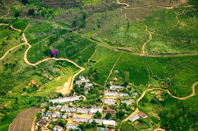 High angle view of agricultural field