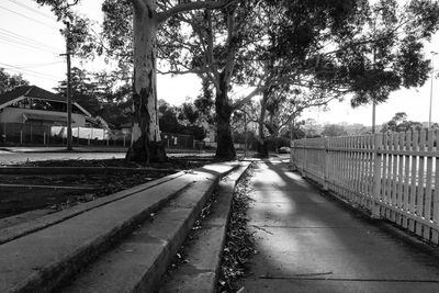 Railroad tracks amidst trees against sky