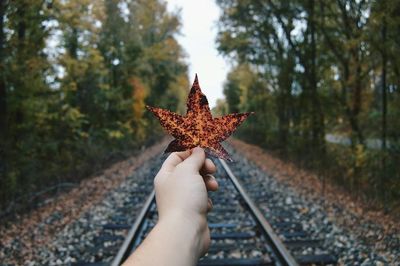 Cropped image of man in autumn leaves