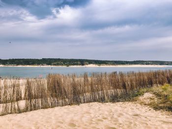 Scenic view of beach against sky