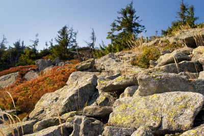 Rock formation on land against sky